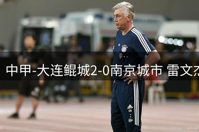 中甲-大连鲲城2-0南京城市 雷文杰破门穆谢奎建功南京近4轮仅1胜