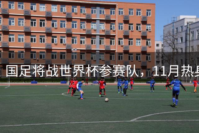 国足将战世界杯参赛队，11月热身赛有望移师广州