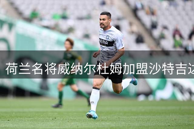 荷兰名将威纳尔杜姆加盟沙特吉达联合